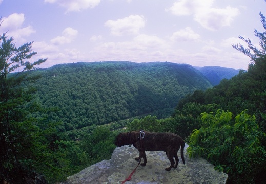 New River Gorge